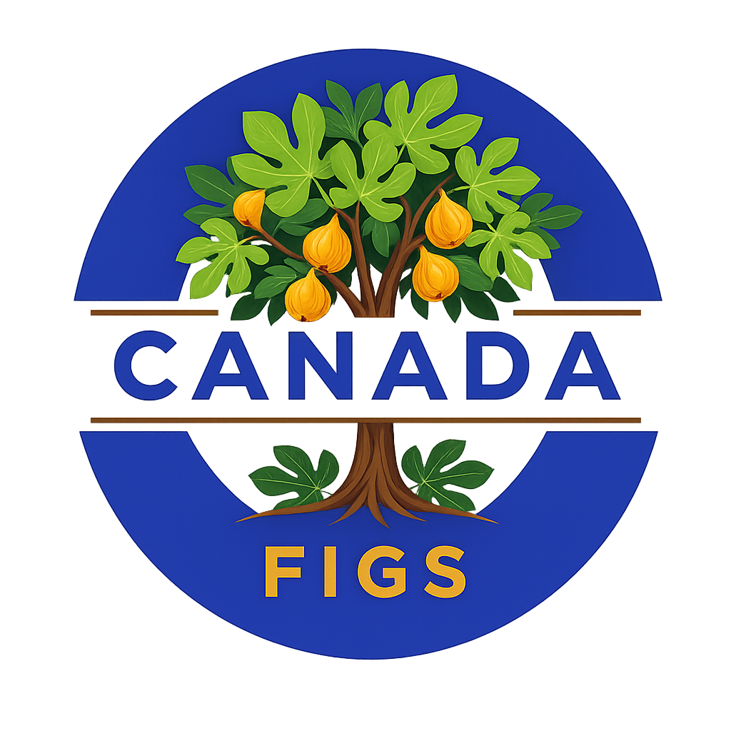 Canada Figs Logo